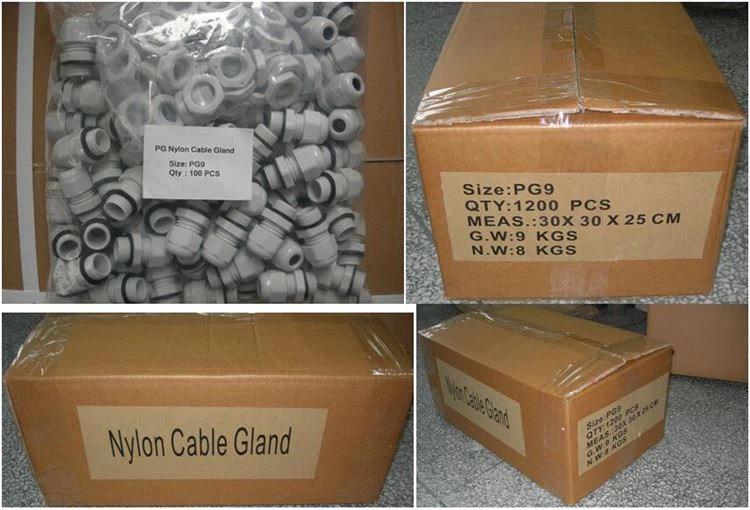 Cable Glands Packaging Customization Cable Glands Packaging Customization